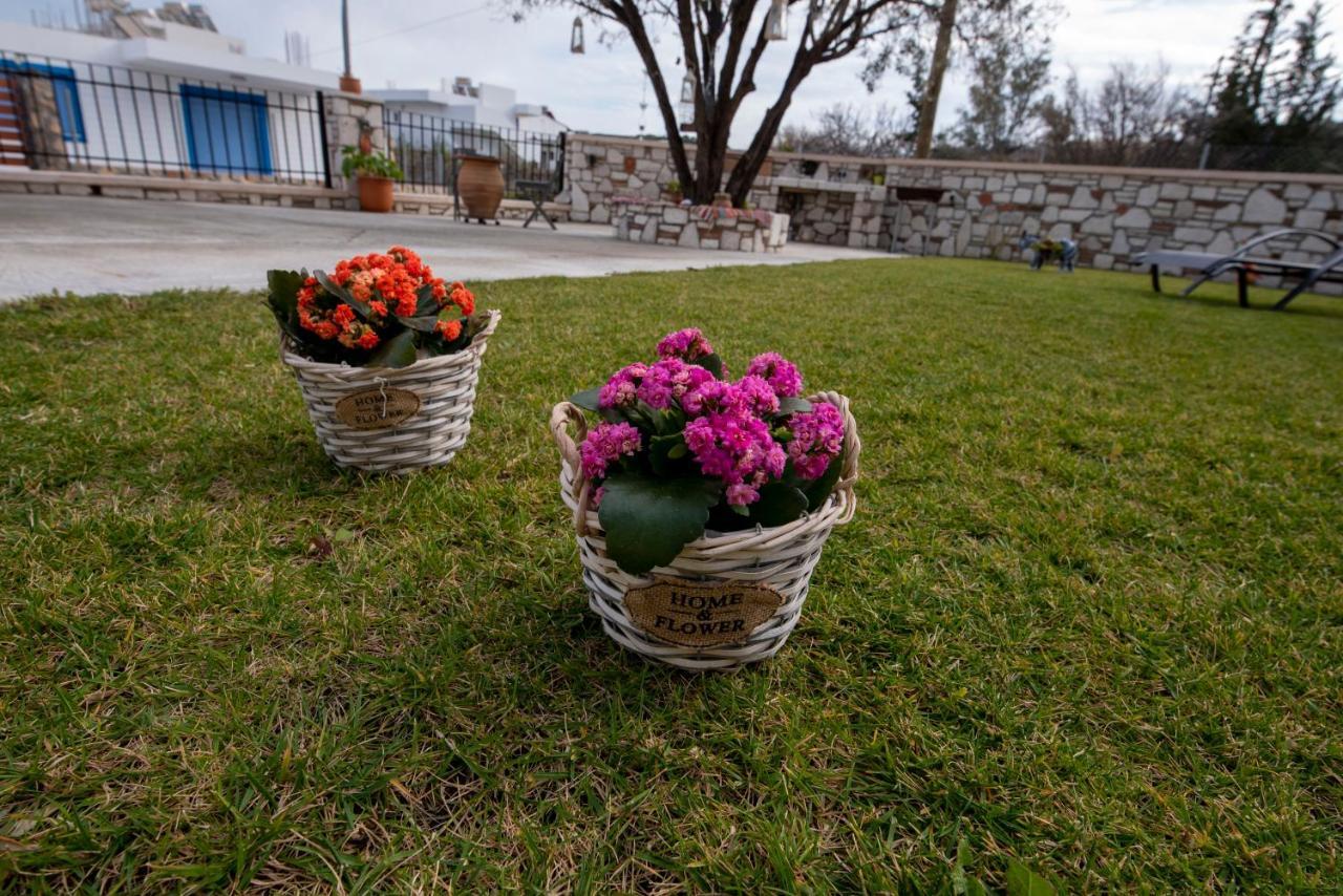 Searock Stegna Villa Archangelos  Exterior photo
